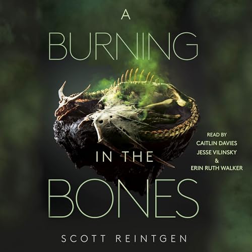 A Burning in the Bones Audiobook By Scott Reintgen cover art