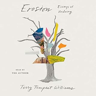 Erosion Audiobook By Terry Tempest Williams cover art