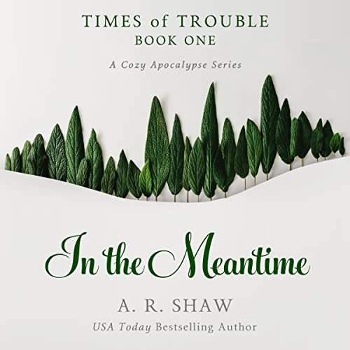 In the Meantime Audiobook By A. R. Shaw cover art