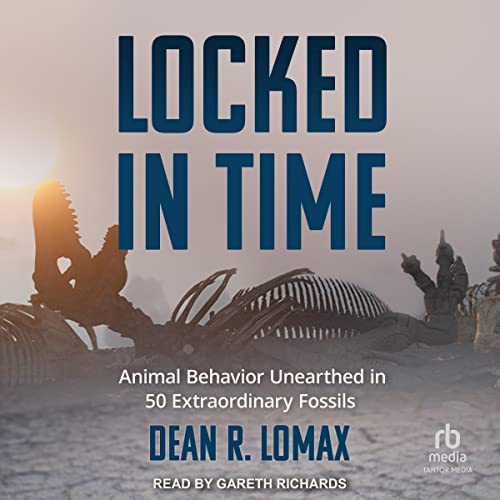 Locked in Time cover art