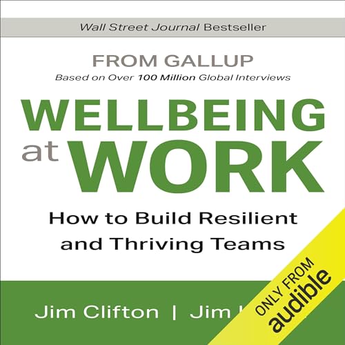 Wellbeing at Work Audiolibro Por Jim Clifton, Jim Harter arte de portada