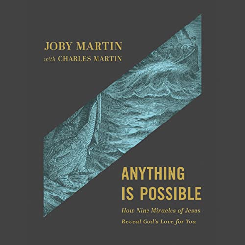 Anything Is Possible cover art