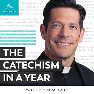 The Catechism in a Year (with Fr. Mike Schmitz) Audiobook By Ascension cover art