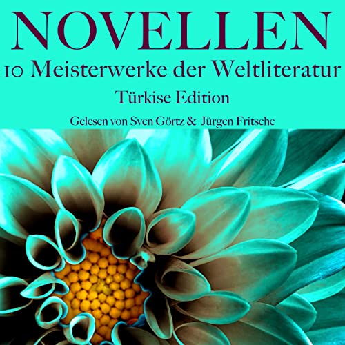 Novellen - 10 Meisterwerke der Weltliteratur - Türkise Edition cover art