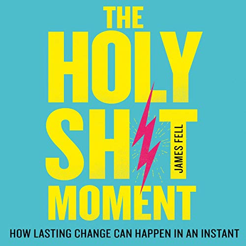 The Holy Sh!t Moment cover art