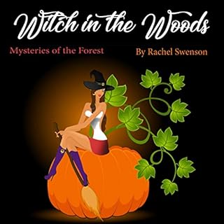 Witch in the Woods Audiobook By Rachel Swenson cover art