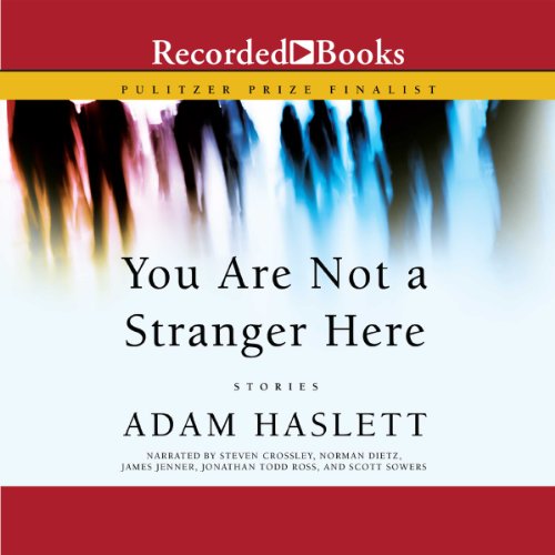 You Are Not a Stranger Here Audiobook By Adam Haslett cover art