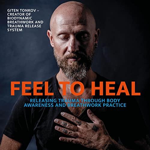 Couverture de Feel to Heal