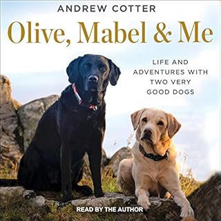 Olive, Mabel & Me Audiobook By Andrew Cotter cover art