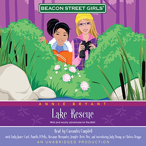 Lake Rescue cover art