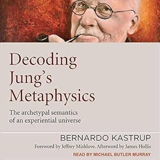 Decoding Jung's Metaphysics Audiobook By Bernardo Kastrup cover art