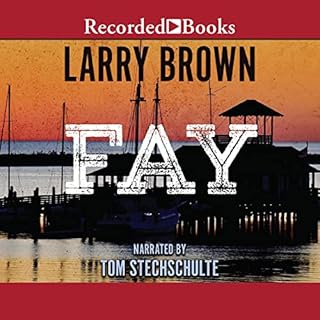 Fay Audiobook By Larry Brown cover art