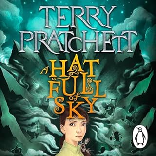 A Hat Full of Sky cover art