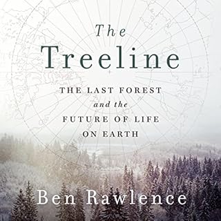 The Treeline Audiolibro Por Ben Rawlence arte de portada