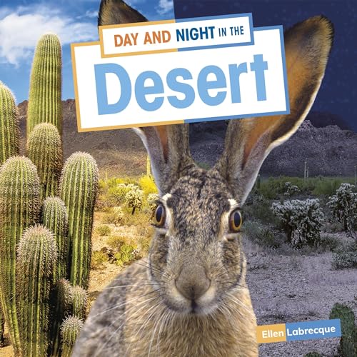 Day and Night in the Desert copertina