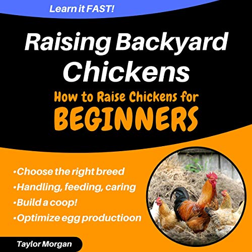 Raising Backyard Chickens: How to Raise Chickens for Beginners Audiolivro Por Taylor Morgan capa