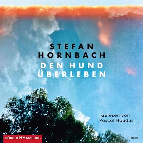 Den Hund überleben Audiobook By Stefan Hornbach cover art