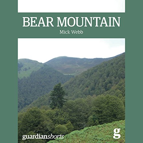 Bear Mountain cover art