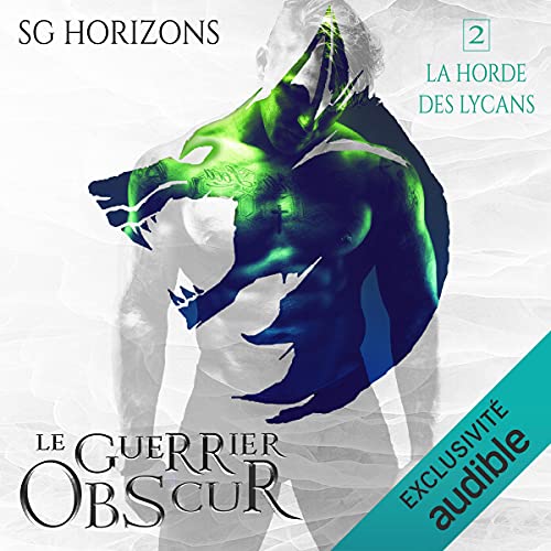 Le guerrier obscur cover art