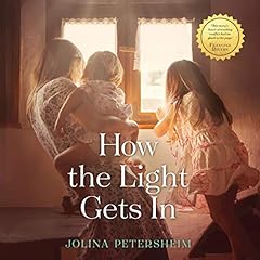 How the Light Gets In cover art