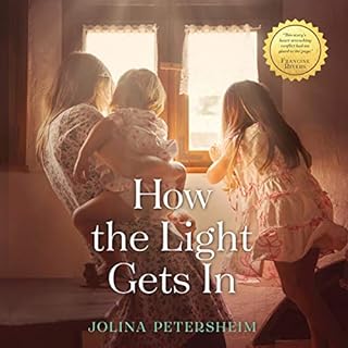 How the Light Gets In Audiobook By Jolina Petersheim cover art