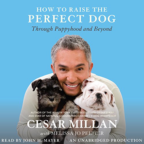 Page de couverture de How to Raise the Perfect Dog