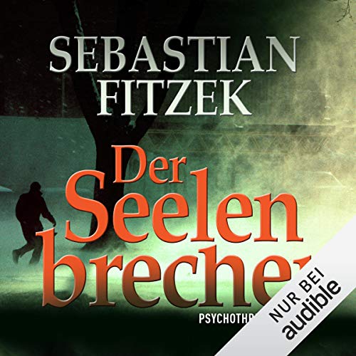 Der Seelenbrecher cover art