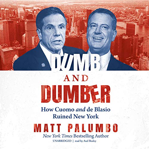 Dumb and Dumber Audiolivro Por Matt Palumbo capa