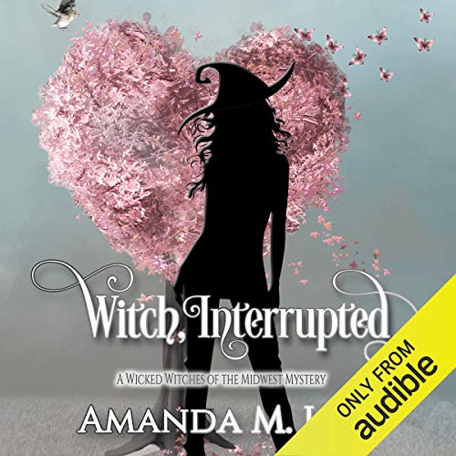 Witch, Interrupted Audiobook By Amanda M. Lee cover art