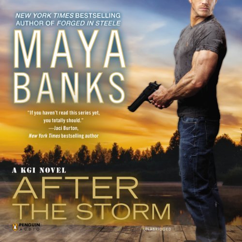 Couverture de After the Storm