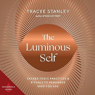 The Luminous Self Audiobook By Tracee Stanley cover art