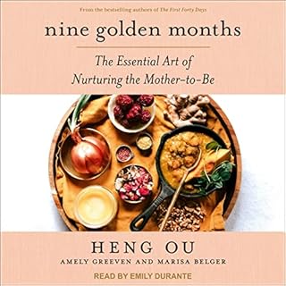 Nine Golden Months Audiobook By Heng Ou, Amely Greeven, Marisa Belger cover art