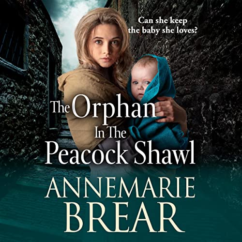 Couverture de The Orphan in the Peacock Shawl