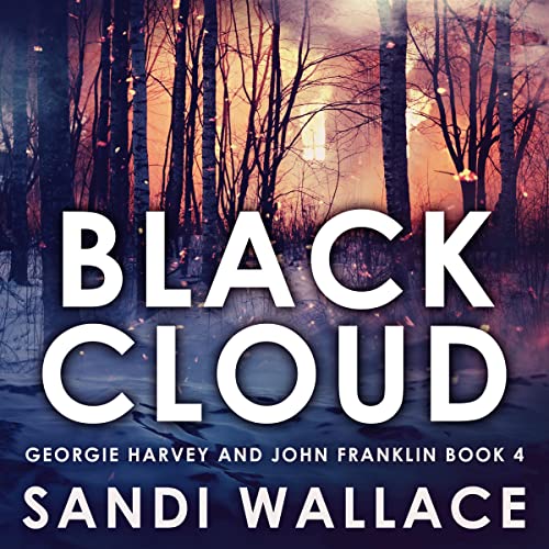 Black Cloud Audiolivro Por Sandi Wallace capa