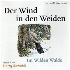 Der Wind in den Weiden Titelbild