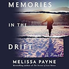 Memories in the Drift cover art