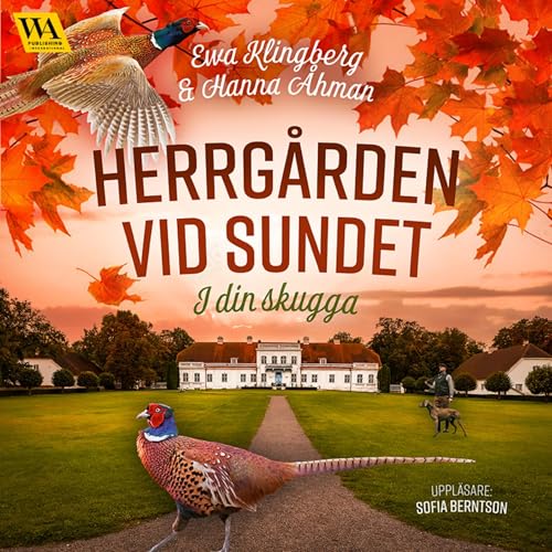 I din skugga Audiolivro Por Ewa Klingberg, Hanna Åhman capa