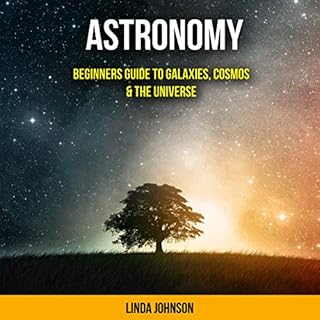 Astronomy: Beginners Guide to Galaxies, Cosmos & the Universe Audiobook By Linda J Johnson cover art