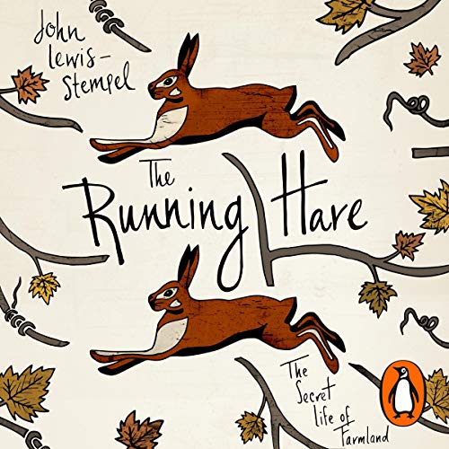 The Running Hare cover art