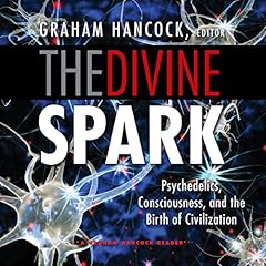 The Divine Spark Titelbild