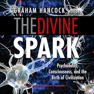 The Divine Spark Audiobook By Graham Hancock - editor cover art