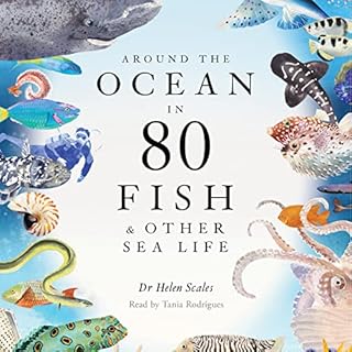 Around the Ocean in 80 Fish and Other Sea Life Audiolibro Por Helen Scales, Marcel George - illustrator arte de portada