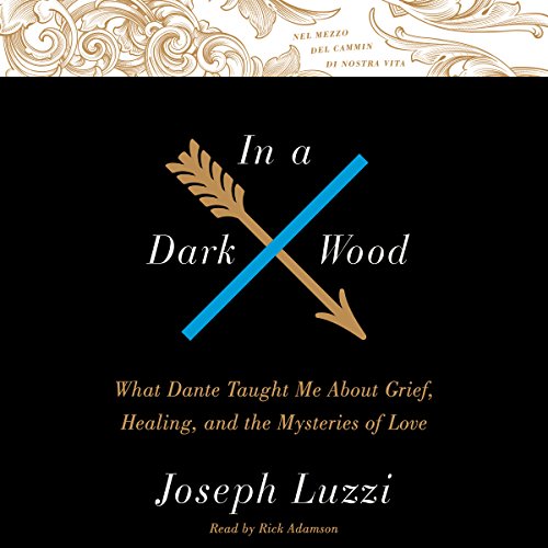 In a Dark Wood Audiolibro Por Joseph Luzzi arte de portada