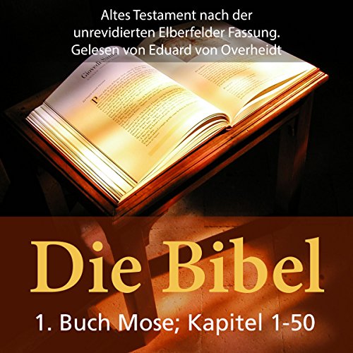 Die Bibel - Altes Testament cover art