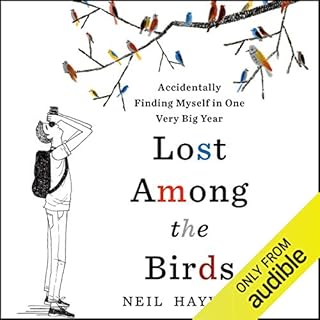 Lost Among the Birds Audiolibro Por Neil Hayward arte de portada