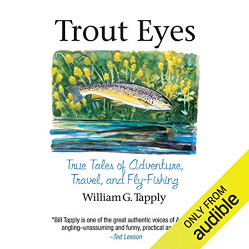 Trout Eyes Audiobook By William G. Tapply cover art