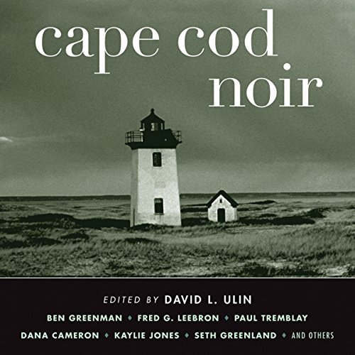 Cape Cod Noir cover art