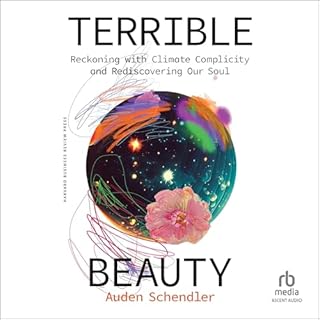 Terrible Beauty Audiobook By Auden Schendler cover art