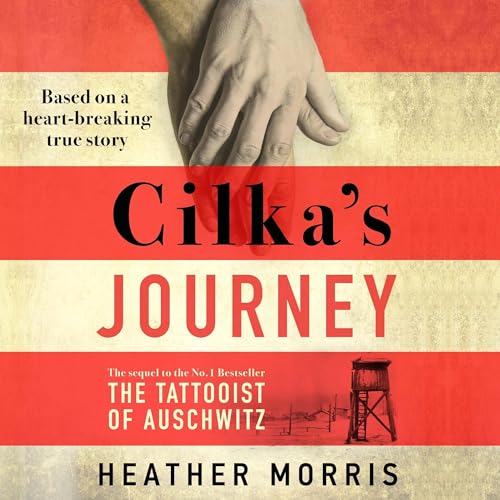 Cilka's Journey cover art