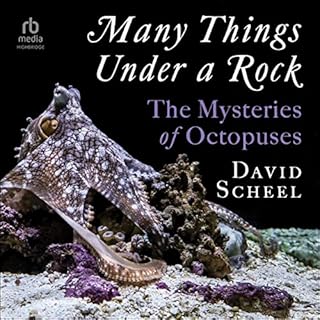 Many Things Under a Rock Audiobook By David Scheel cover art